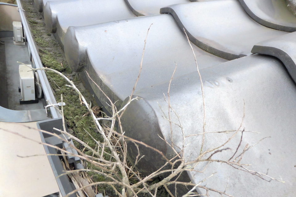 倉敷市Ｆ様　外壁塗装の画像