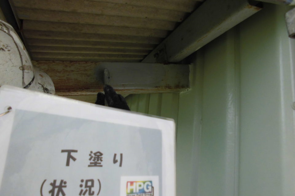 倉敷市五日市　Ｏ様　倉庫外壁塗装の画像