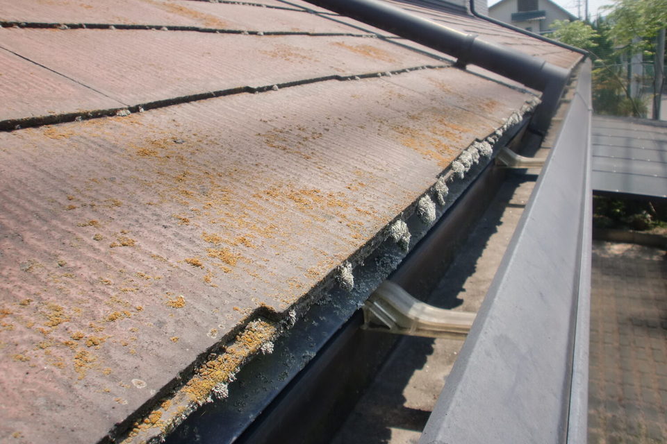 倉敷市中島　K様邸　屋根塗装の画像