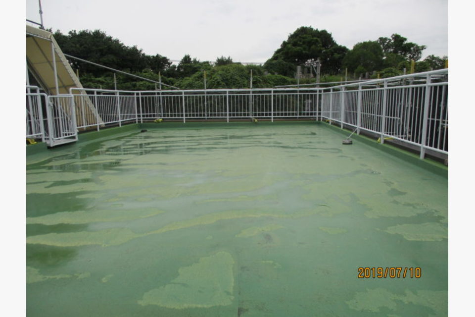 Before画像