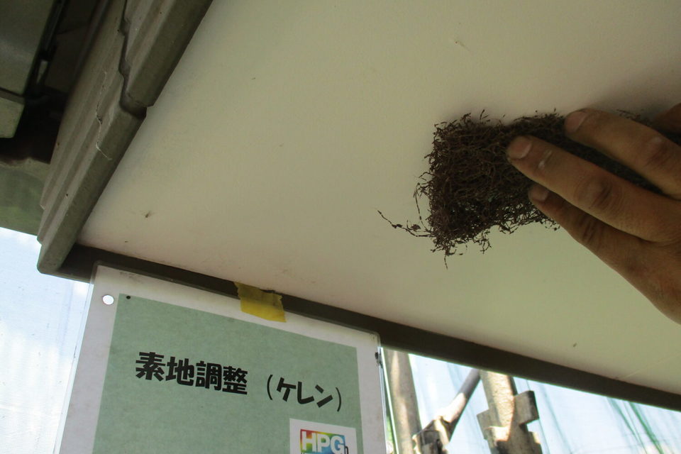 倉敷市　F様邸　外壁塗装工事の画像