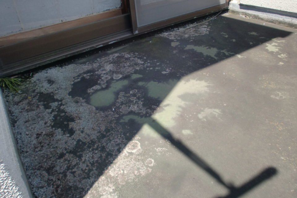 倉敷市白楽町　Ｙ様邸　屋根・外壁塗装工事の画像