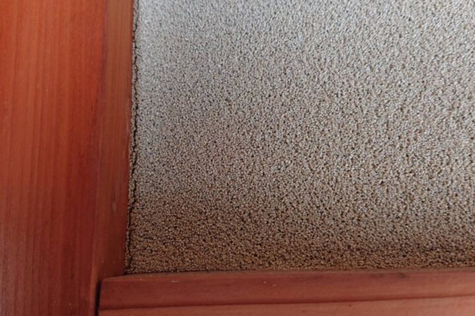 倉敷市連島町　Ｓ様邸　室内塗装工事の画像