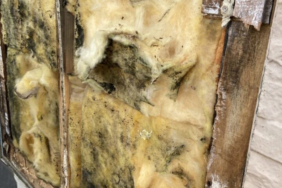 倉敷市玉島　Ａ様邸　屋根・外壁塗装工事の画像