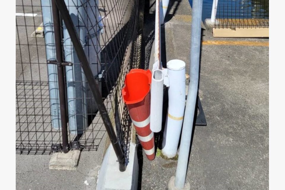 Before画像