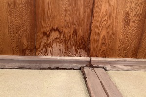 雨漏り